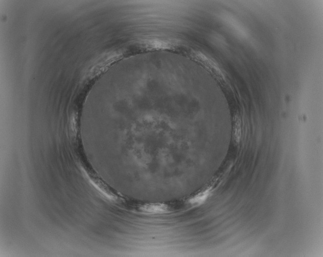 X0000081310410200701251748