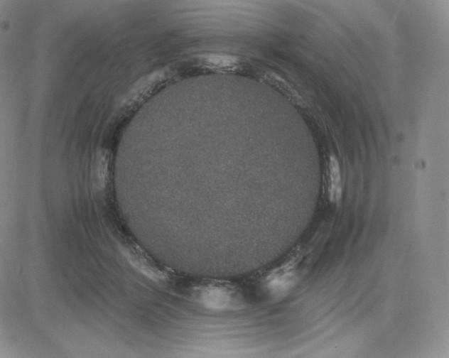 X0000081310412200701251748