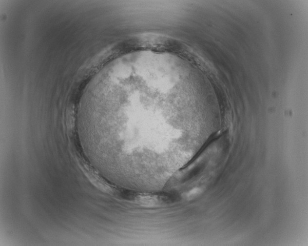 X0000081310413200701251748