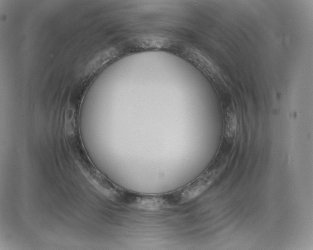 X0000081310414200701251748