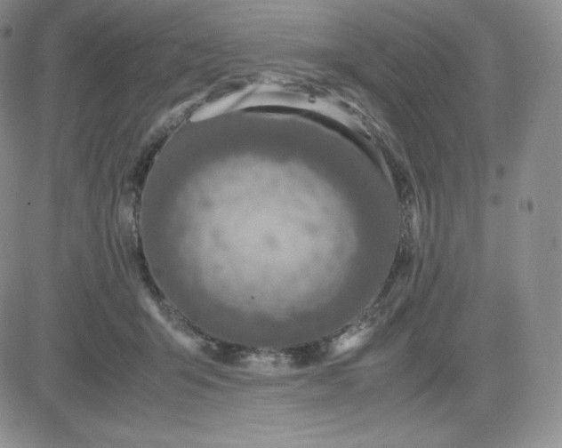 X0000081310415200701251748