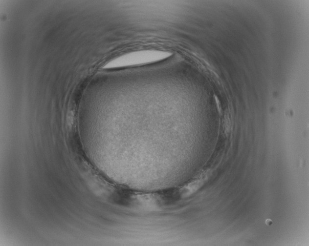 X0000081310417200701251748