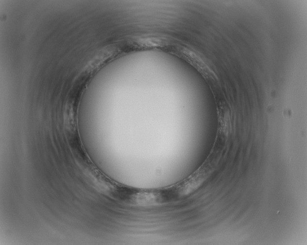 X0000081310418200701251748