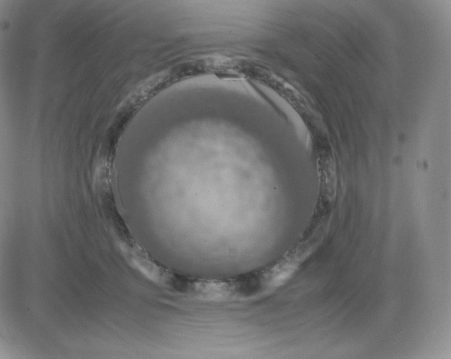 X0000081310419200701251748