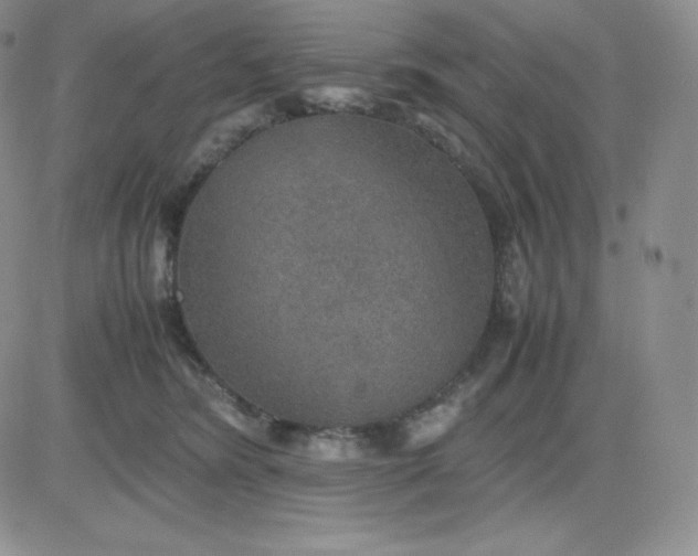 X0000081310420200701251748