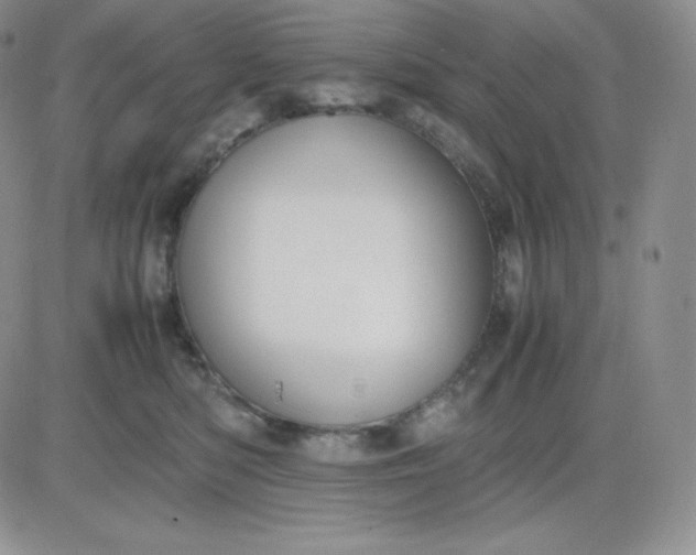 X0000081310422200701251748