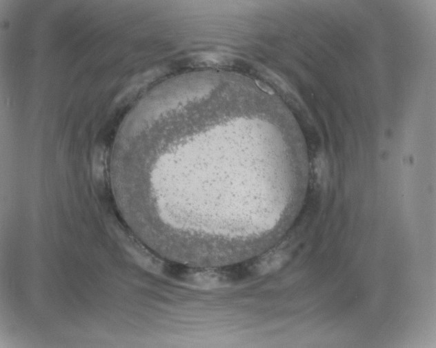 X0000081310423200701251748