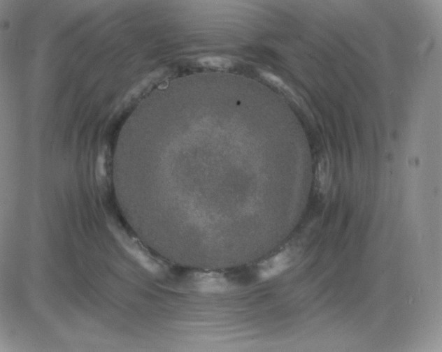 X0000081310424200701251748