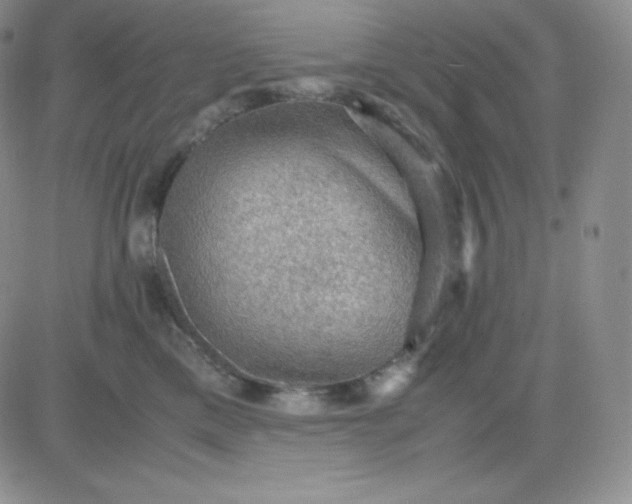 X0000081310425200701251748