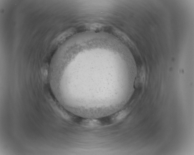 X0000081310427200701251747