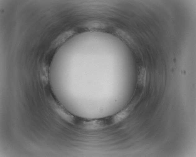 X0000081310430200701251747