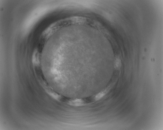 X0000081310431200701251747