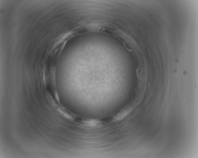 X0000081310432200701251747