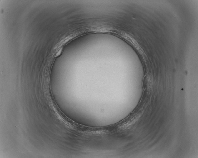 X0000081310433200701251747