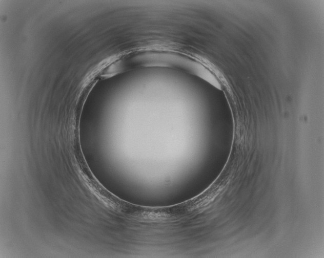 X0000081310437200701251747