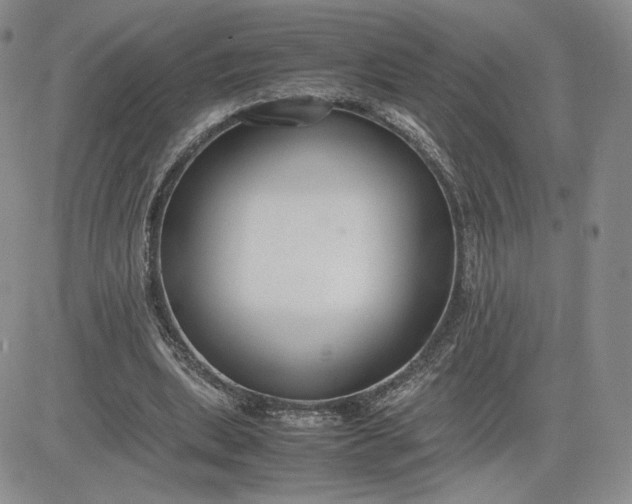 X0000081310439200701251747