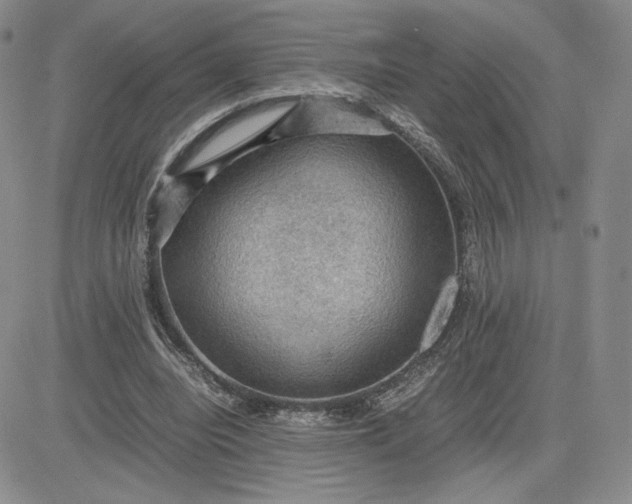 X0000081310440200701251747