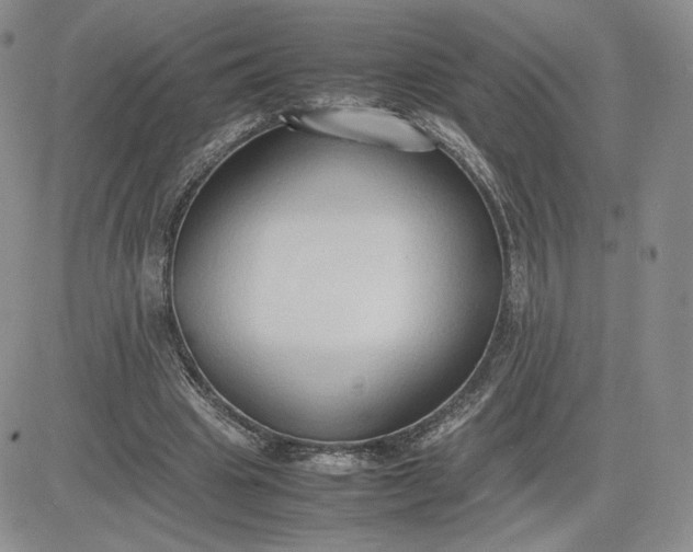 X0000081310441200701251747