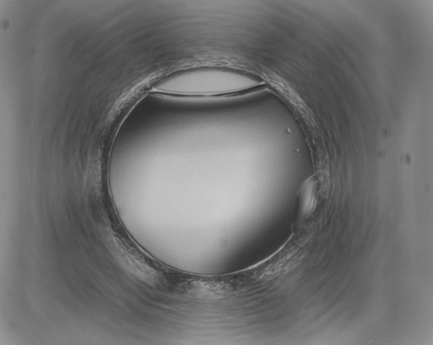 X0000081310442200701251747