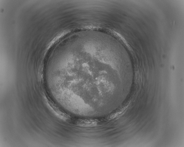 X0000081310443200701251747