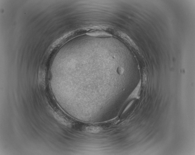 X0000081310444200701251747