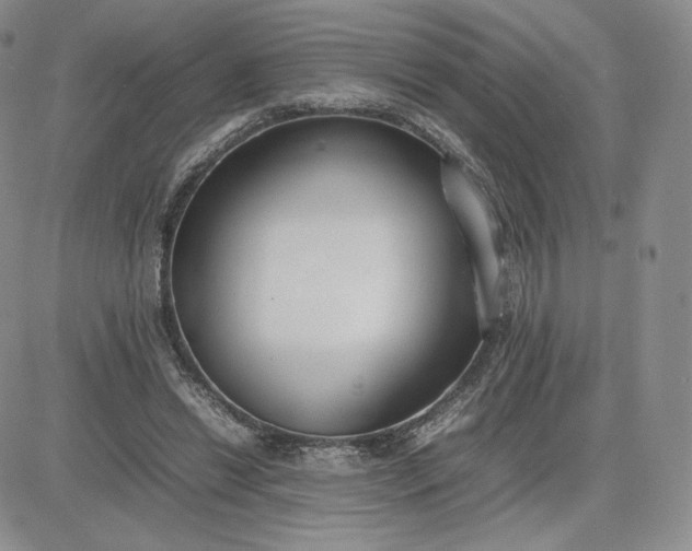 X0000081310446200701251747