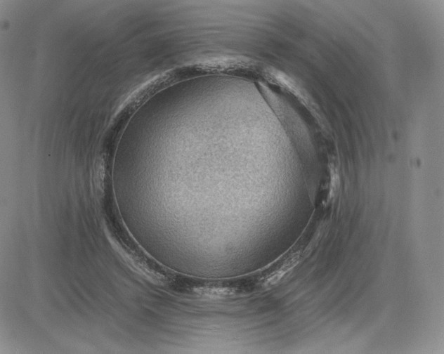 X0000081310448200701251747