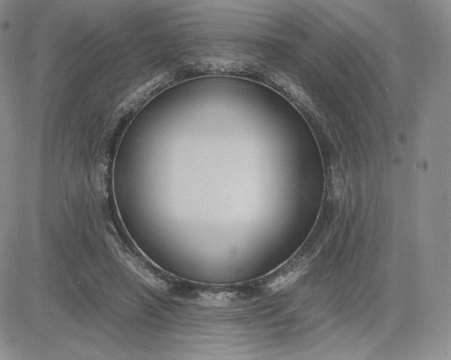 X0000081310450200701251747