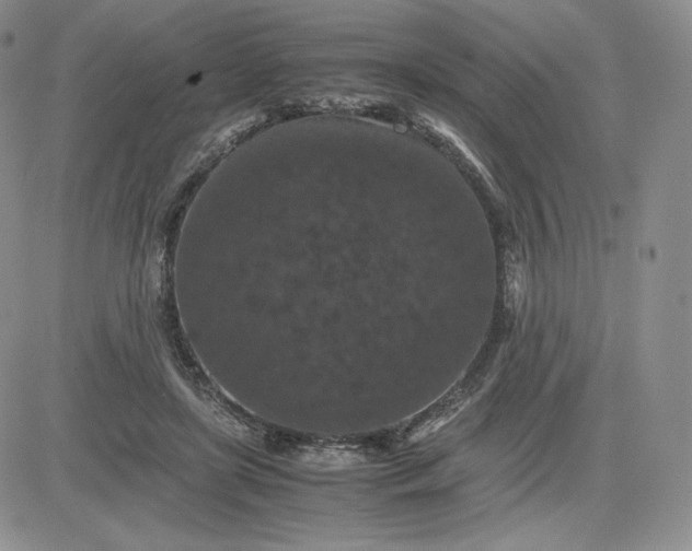 X0000081310451200701251747