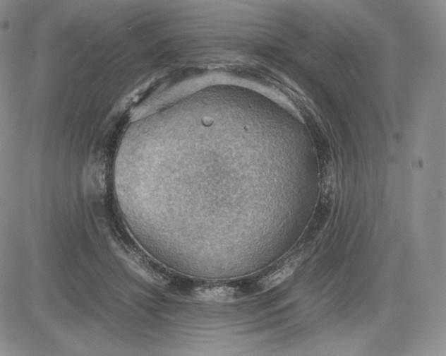 X0000081310452200701251747