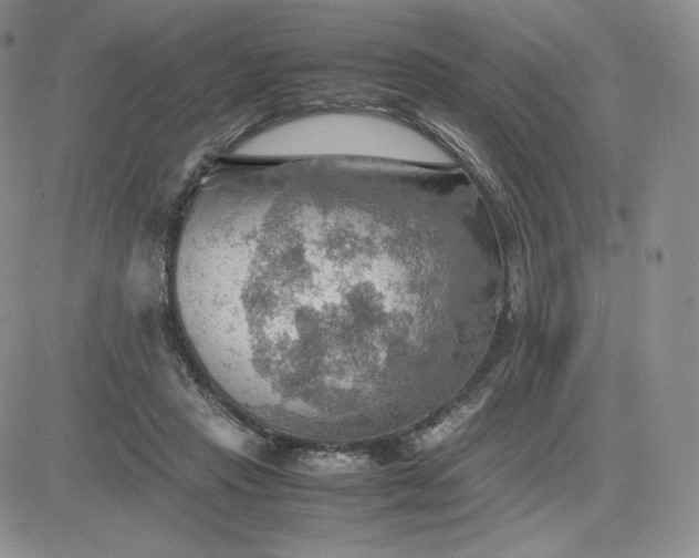 X0000081310453200701251747