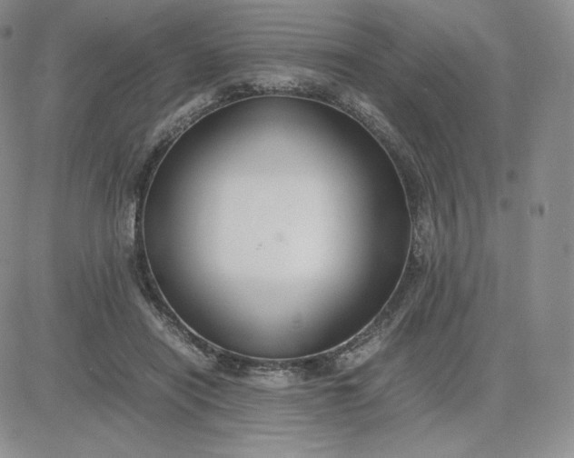 X0000081310454200701251747