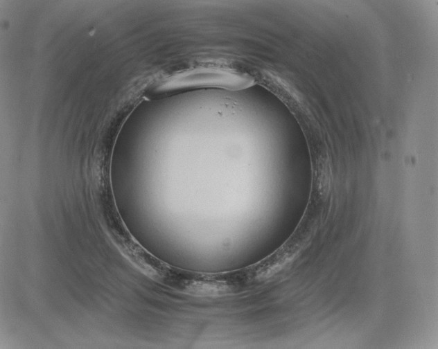 X0000081310455200701251747