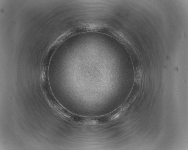 X0000081310456200701251747