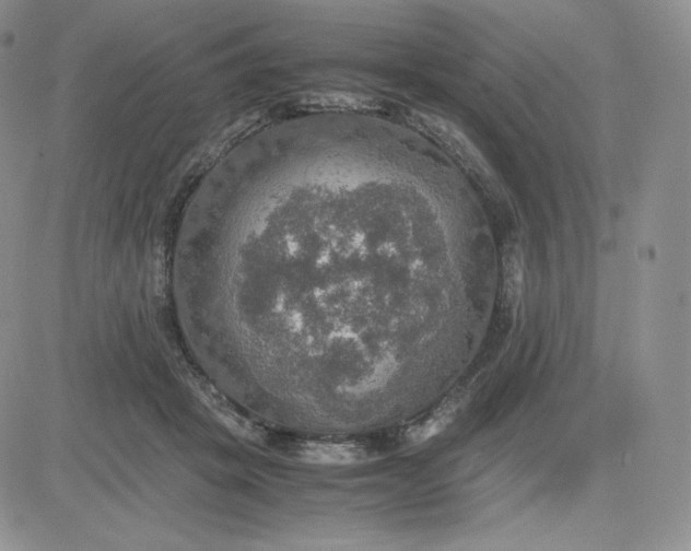 X0000081310457200701251747