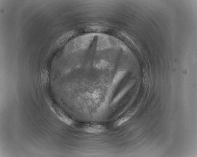 X0000081310459200701251747