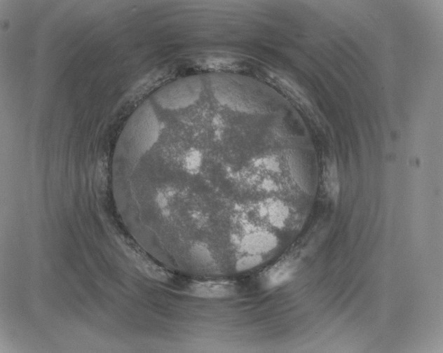 X0000081310461200701251747