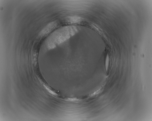 X0000081310462200701251747