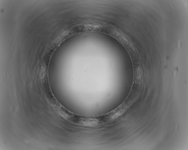 X0000081310463200701251747