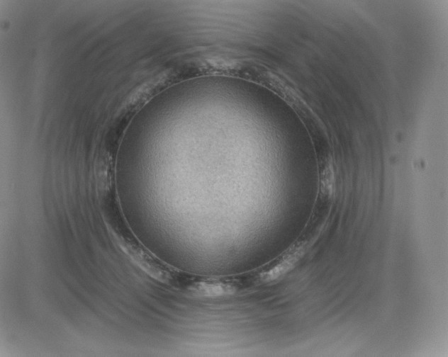 X0000081310464200701251747