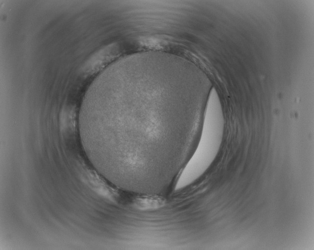 X0000081310466200701251747