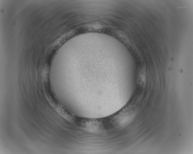 X0000081310468200701251747