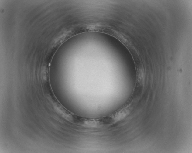 X0000081310470200701251747