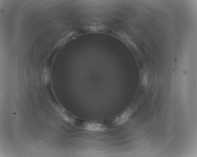 X0000081310471200701251747