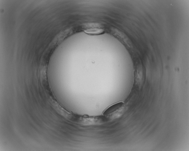 X0000081310473200701251747