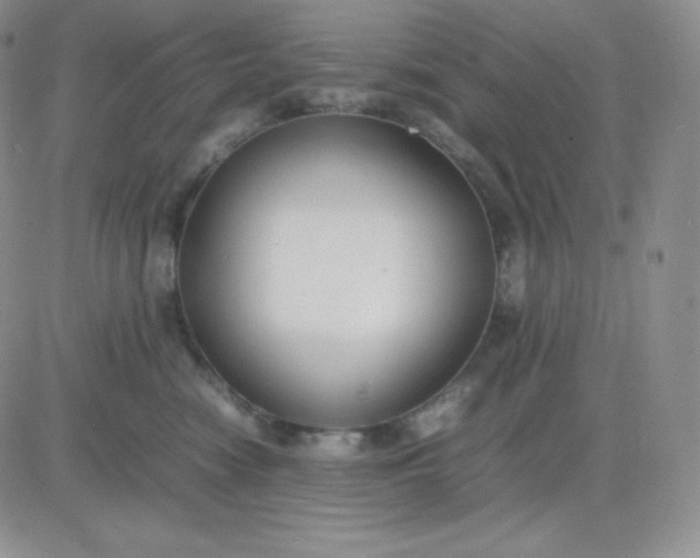 X0000081310474200701251747