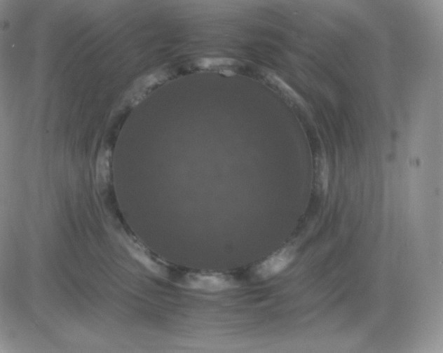 X0000081310475200701251747