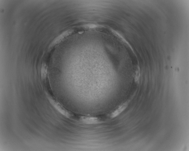 X0000081310476200701251747