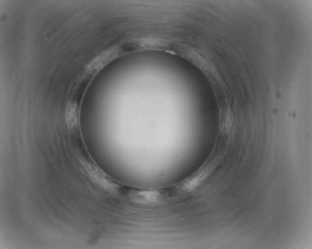 X0000081310478200701251747