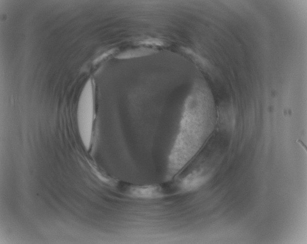 X0000081310479200701251747